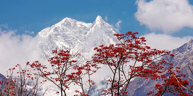 Annapurna Base Camp