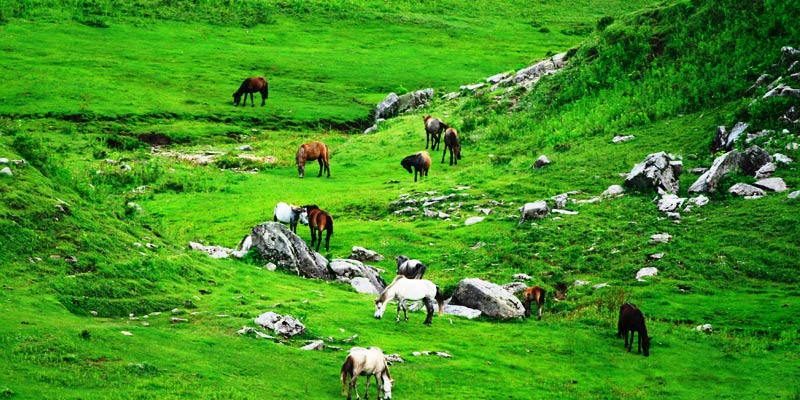 Khaptad National Park tour and trek with Nepal Rental Car