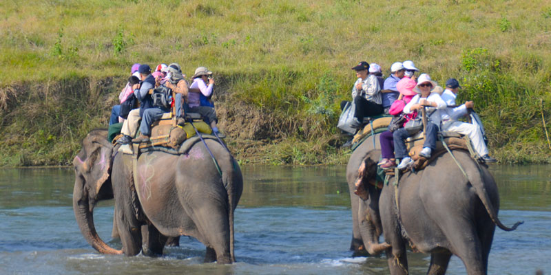 Chitwan National Park Kathmandu Pokhara Lumbini Chitwan Tour