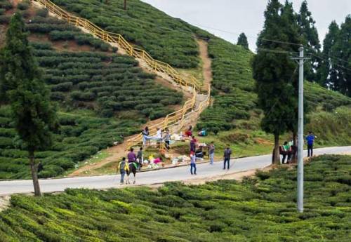 Things To Do in Illam