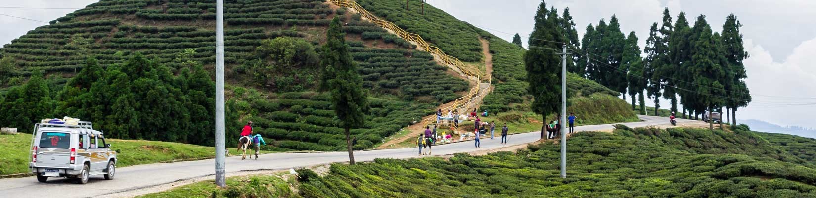 5-Day Eastern Paradise Ilam Tour - Nepal Rental Car