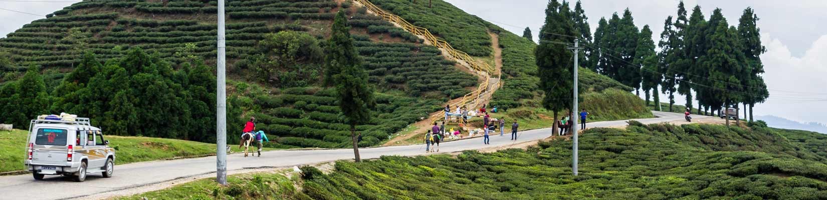 Things To Do in Illam