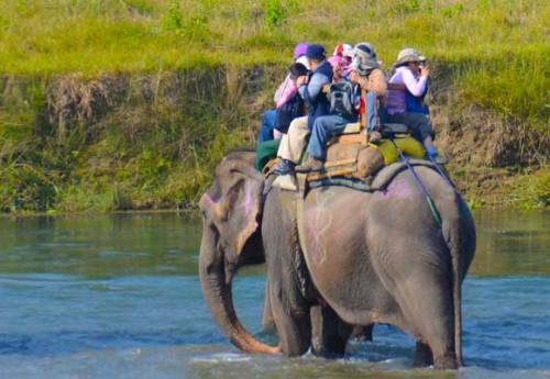 Chitwan Tour 2 Nights 3 Days