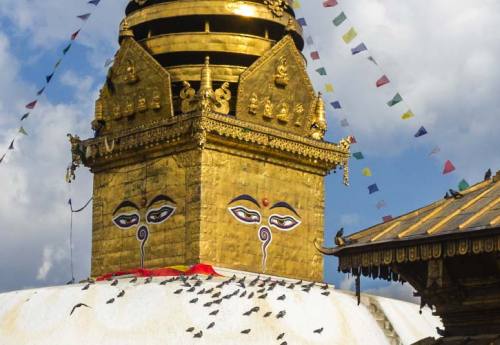 Kathmandu Pokhara Chitwan Tour